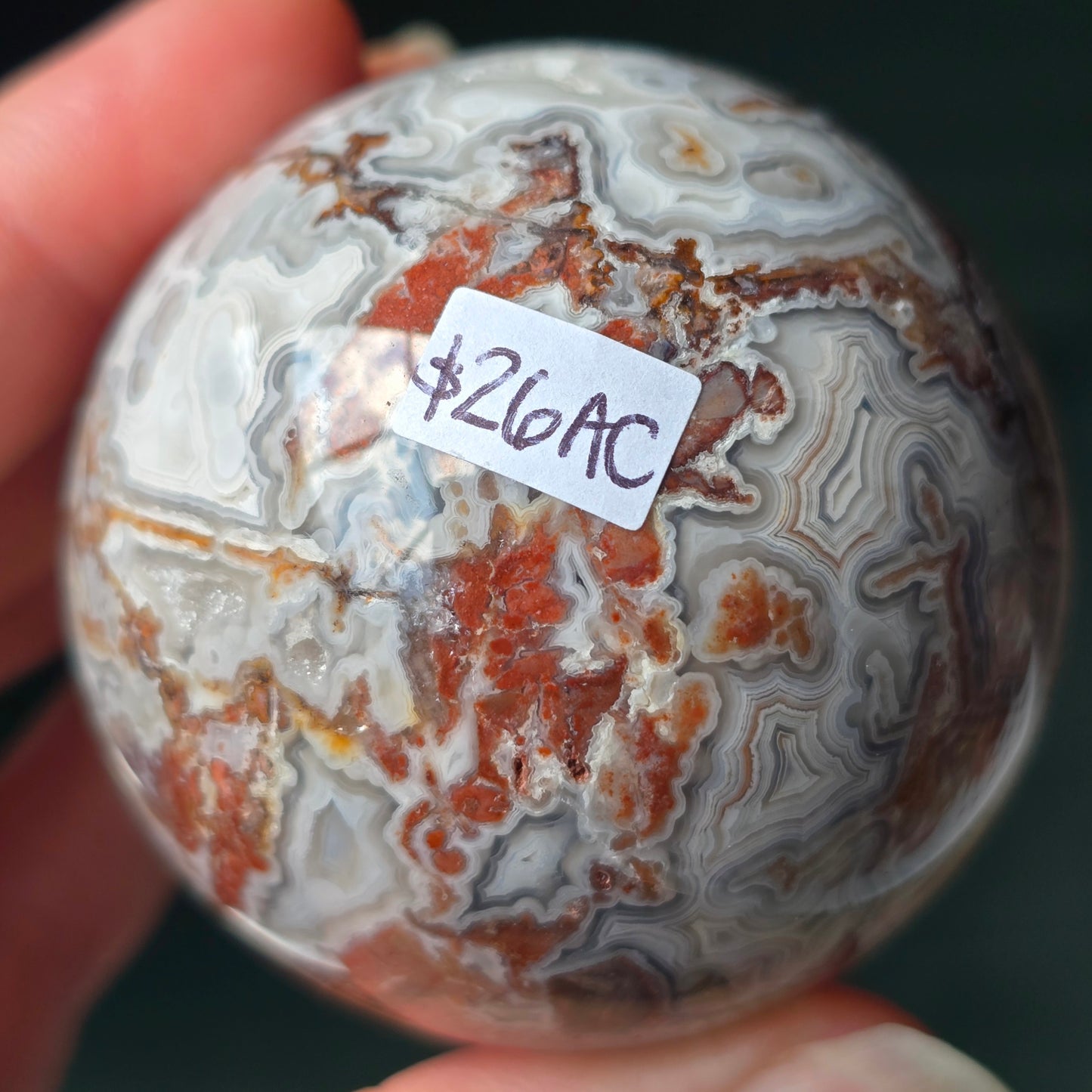 Mexican Lace Agate 🤍