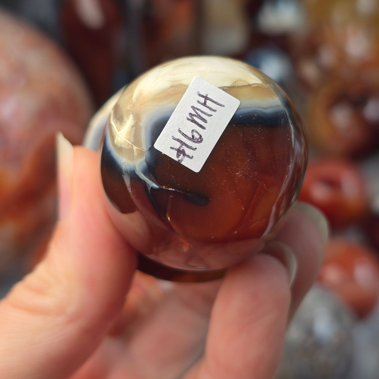 Orca x Carnelian Mushroom 🍄