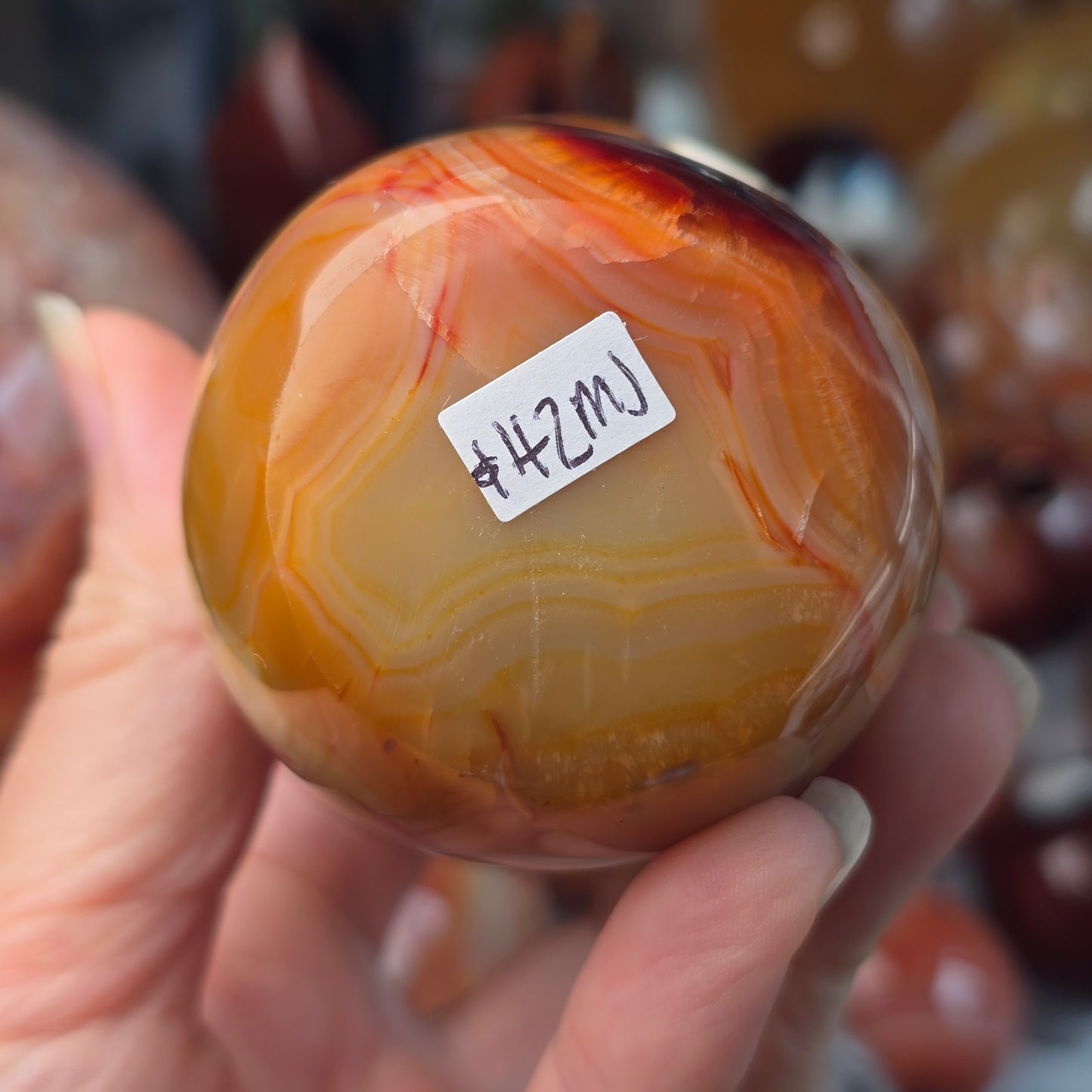 XL Carnelian Mushroom 🍄