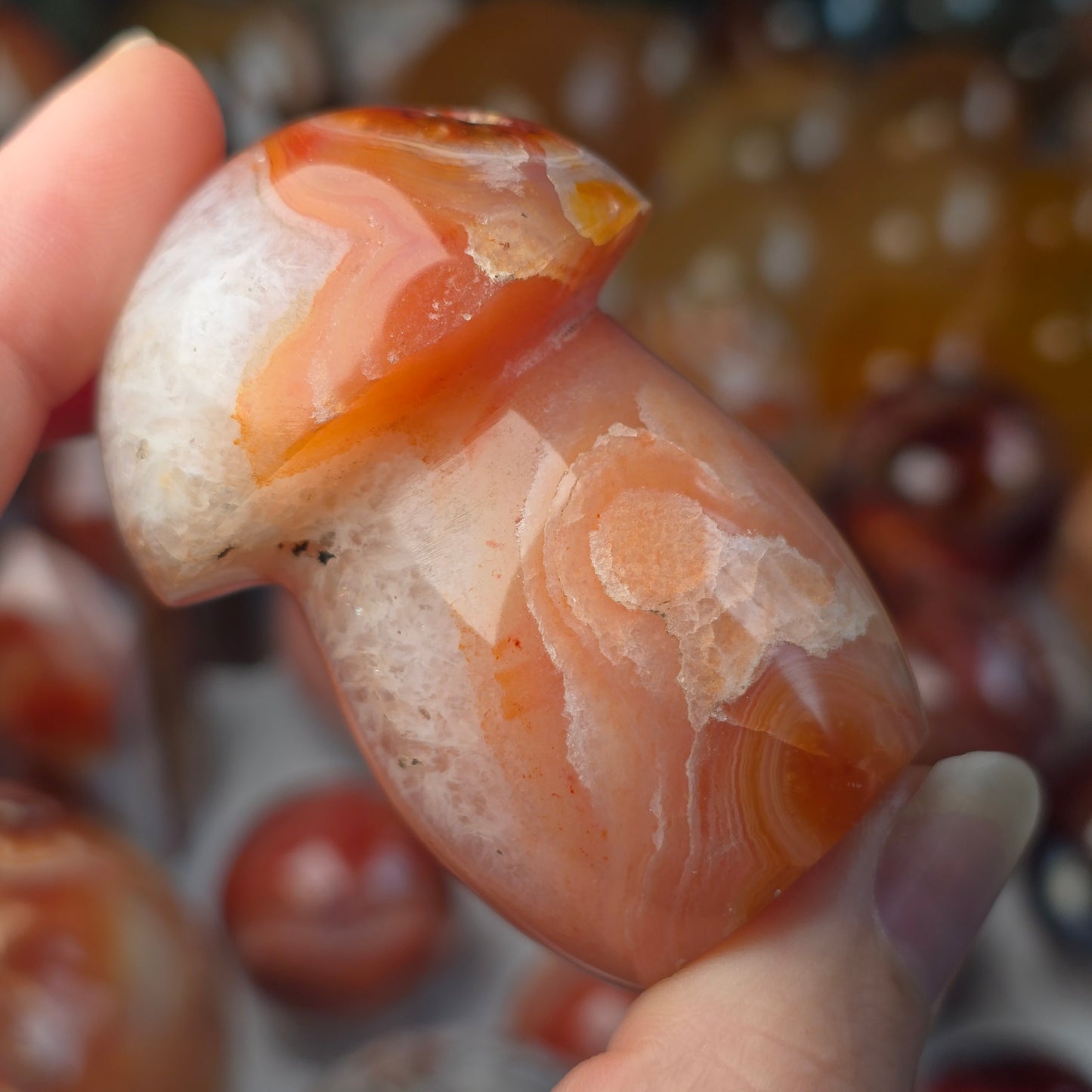 Carnelian Mushroom 🍄