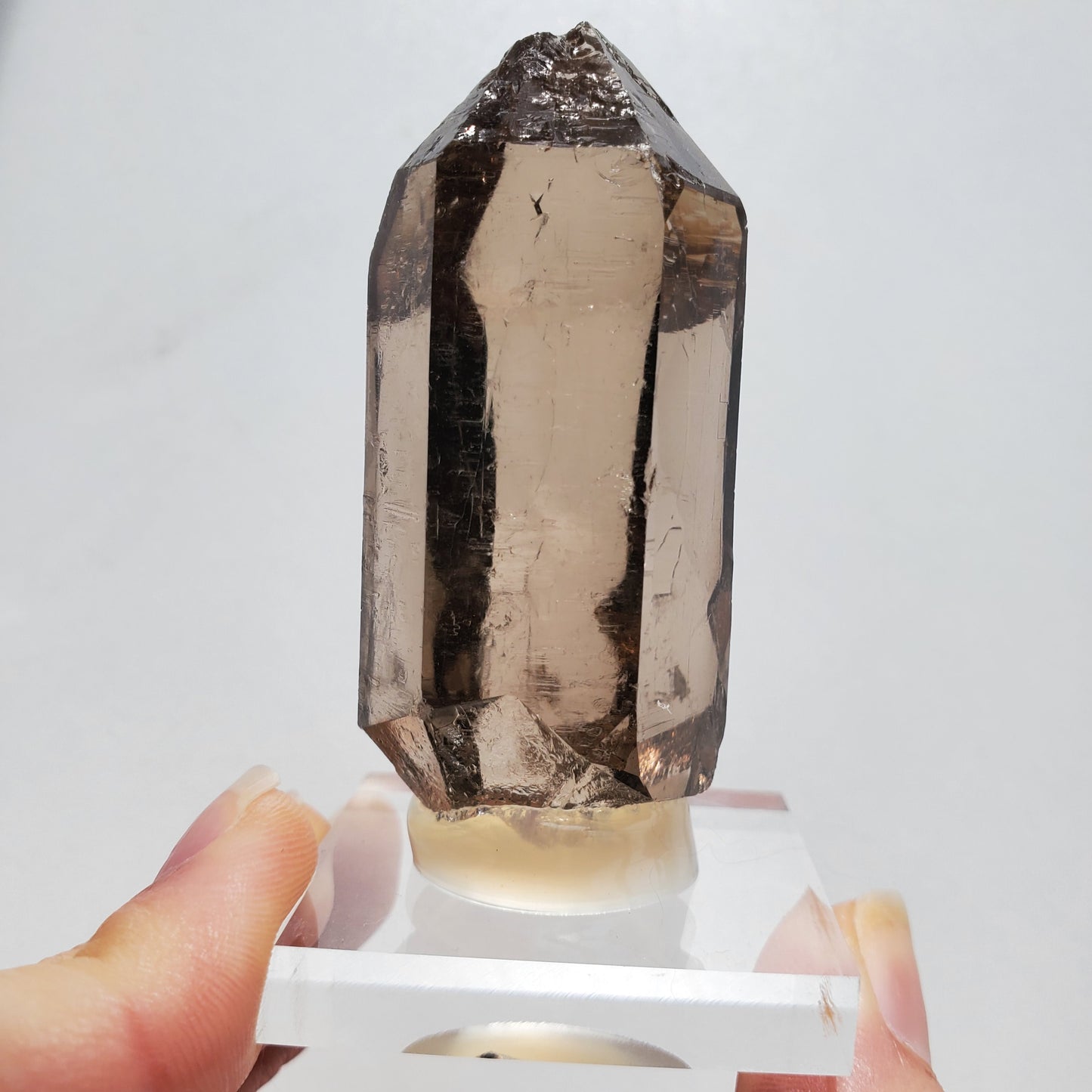 Swiss Smokey Quartz