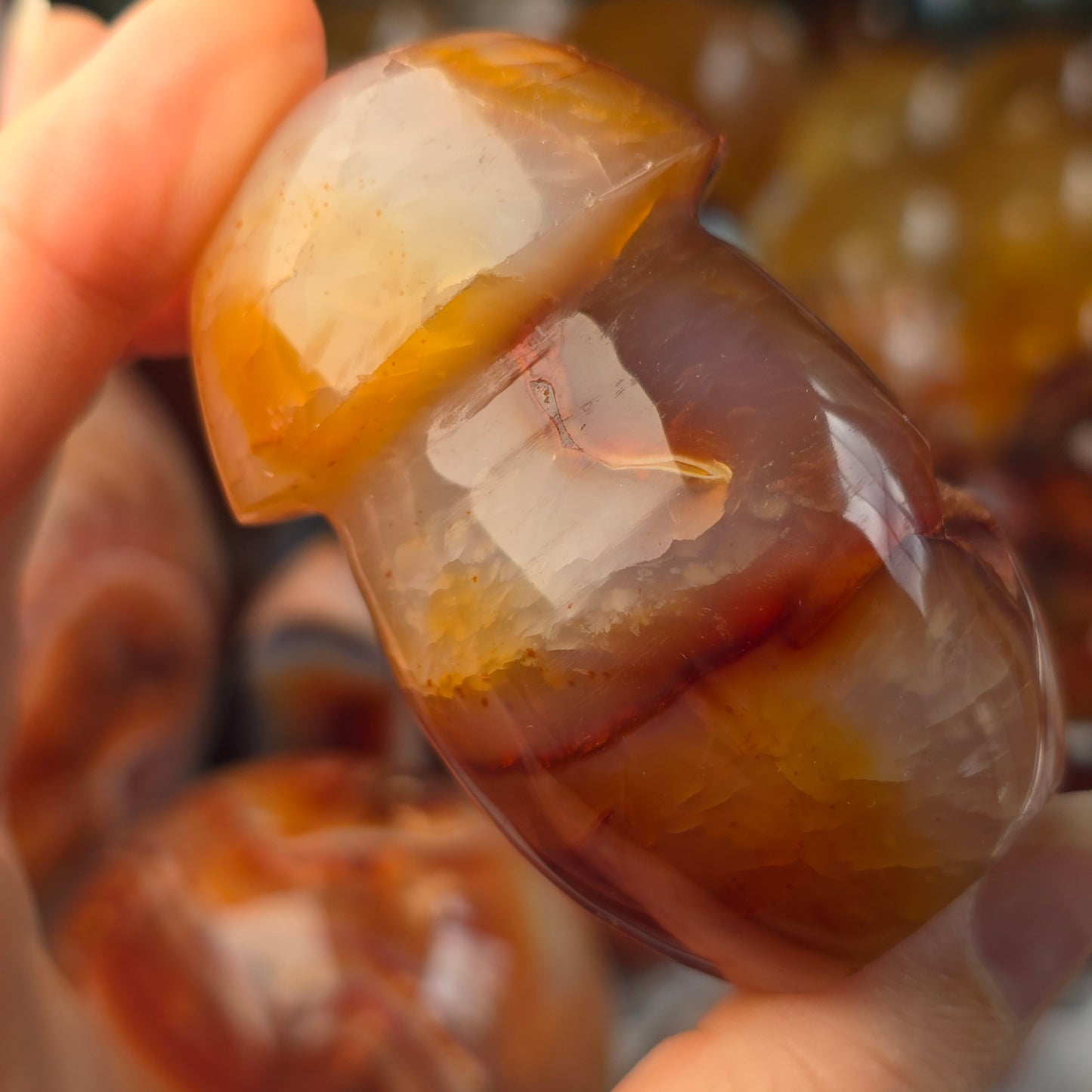 Carnelian Mushroom 🍄