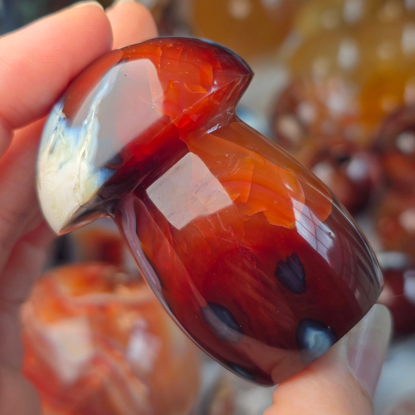 Orca x Carnelian Mushroom 🍄
