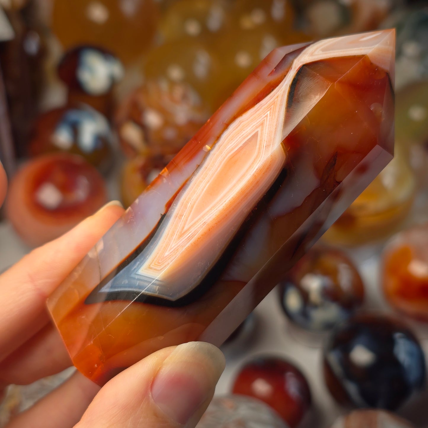 Orca x Carnelian Tower 🖤