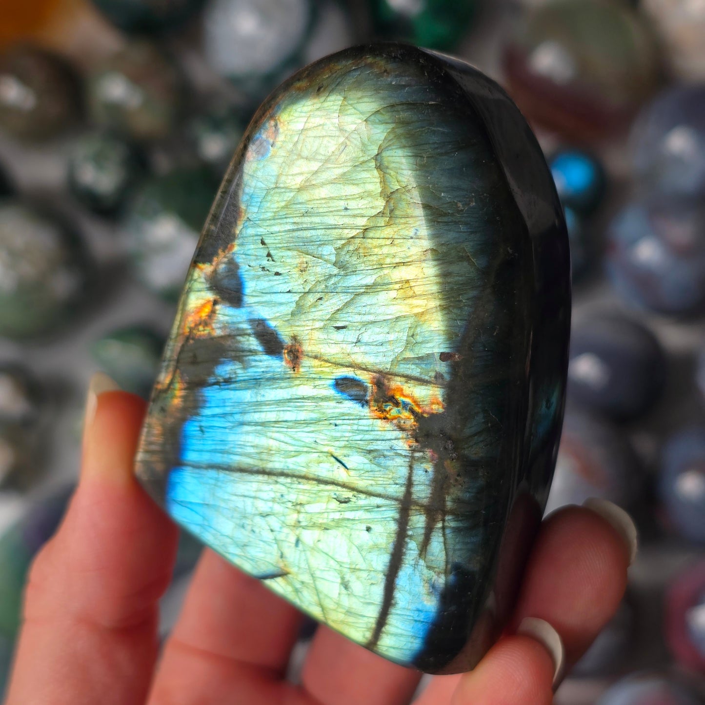 Rainbow Labradorite Freeform 🌈