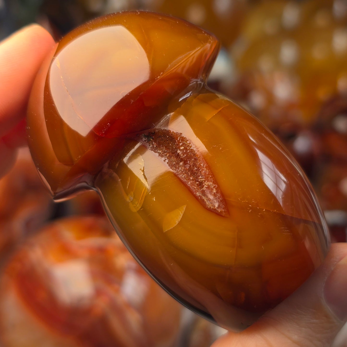 Orca x Carnelian Mushroom 🍄