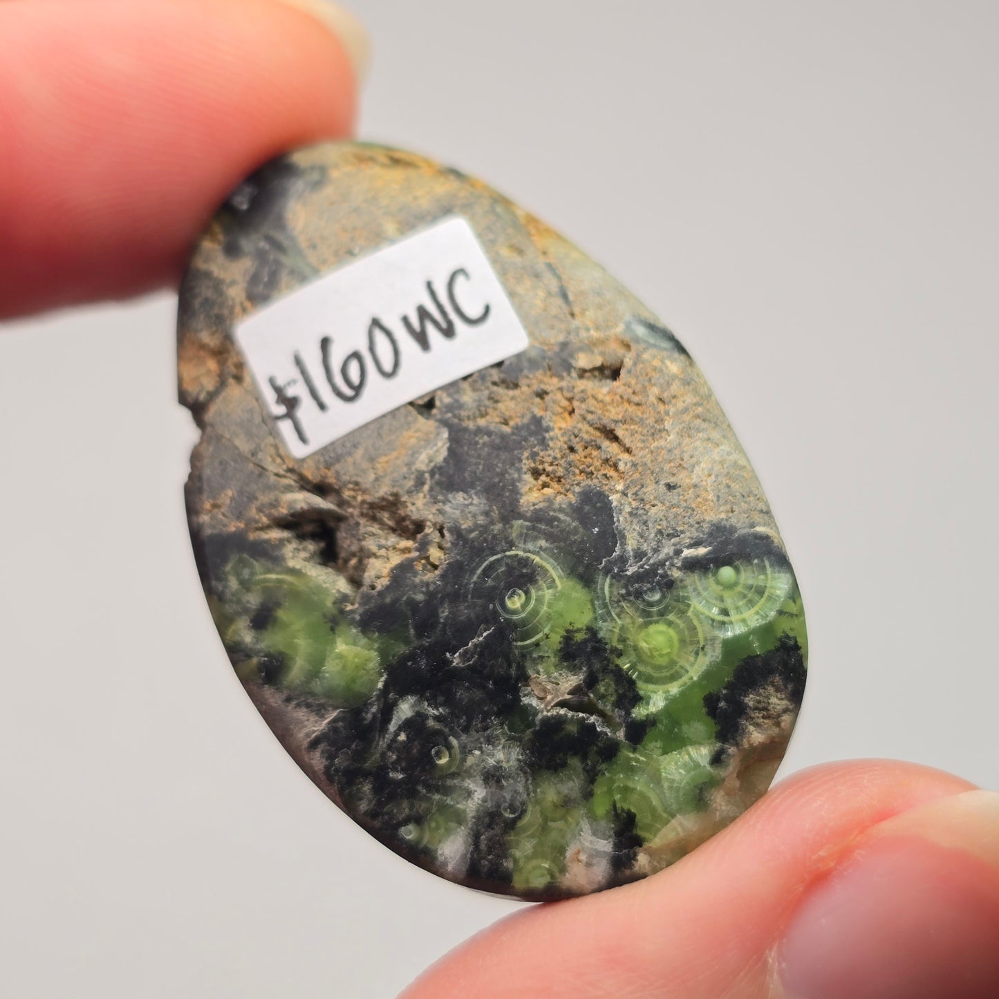 Polished Wavellite