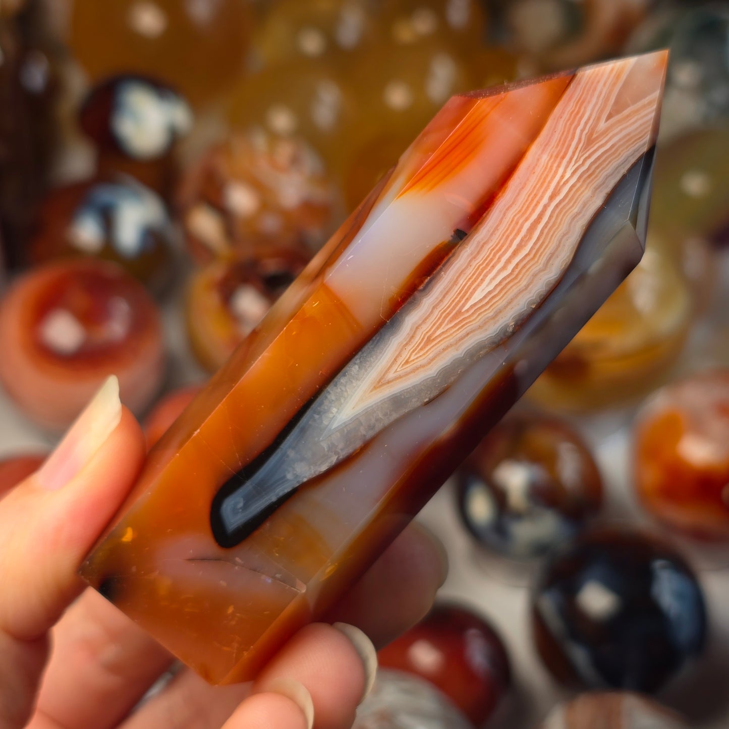 Orca x Carnelian Tower 🖤