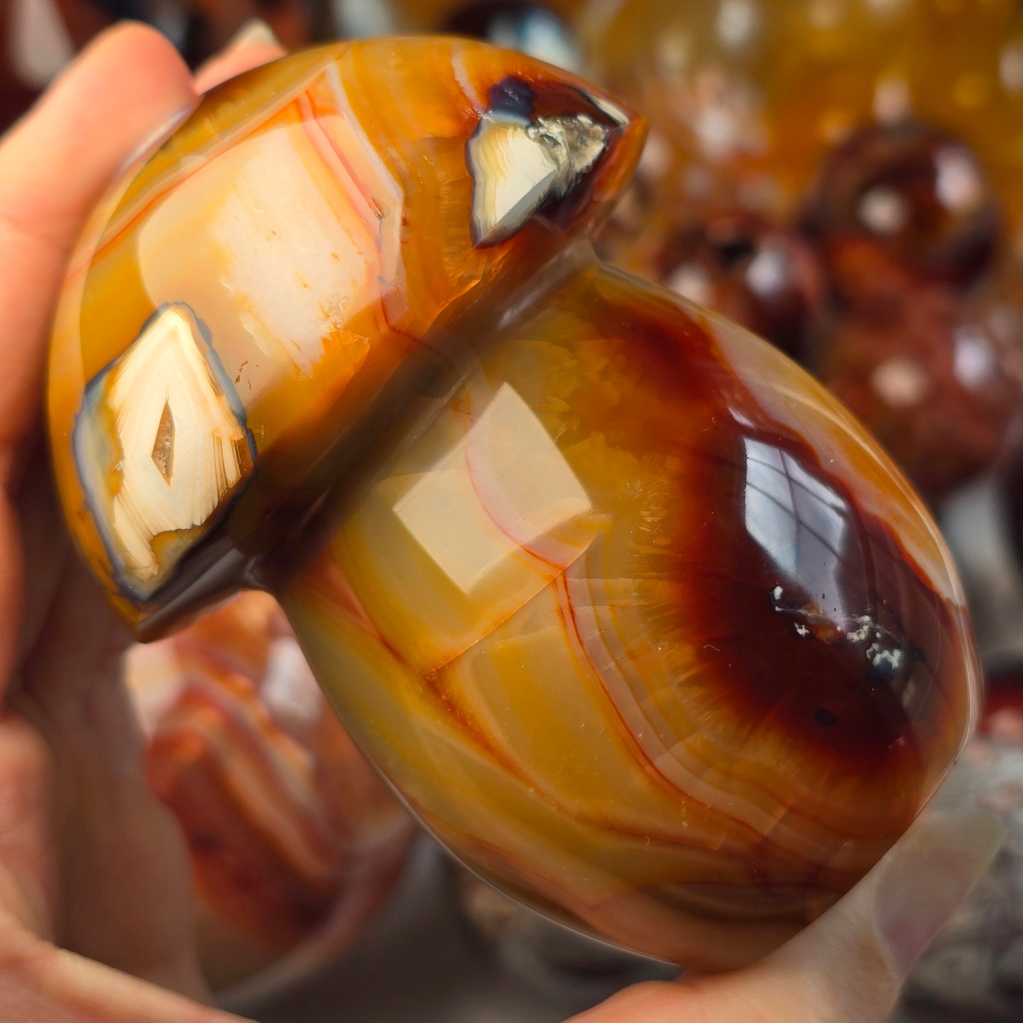 XL Carnelian Mushroom 🍄