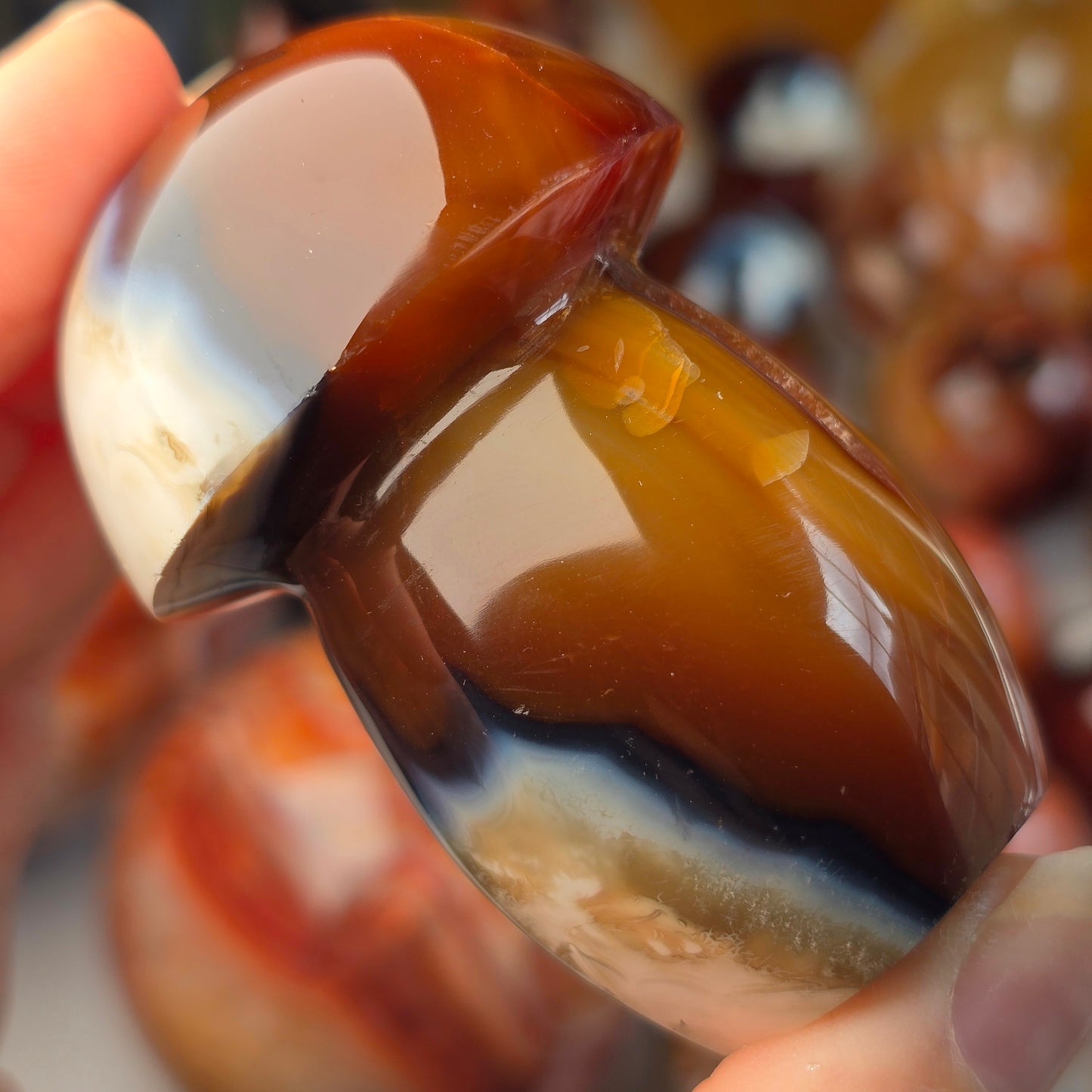 Orca x Carnelian Mushroom 🍄