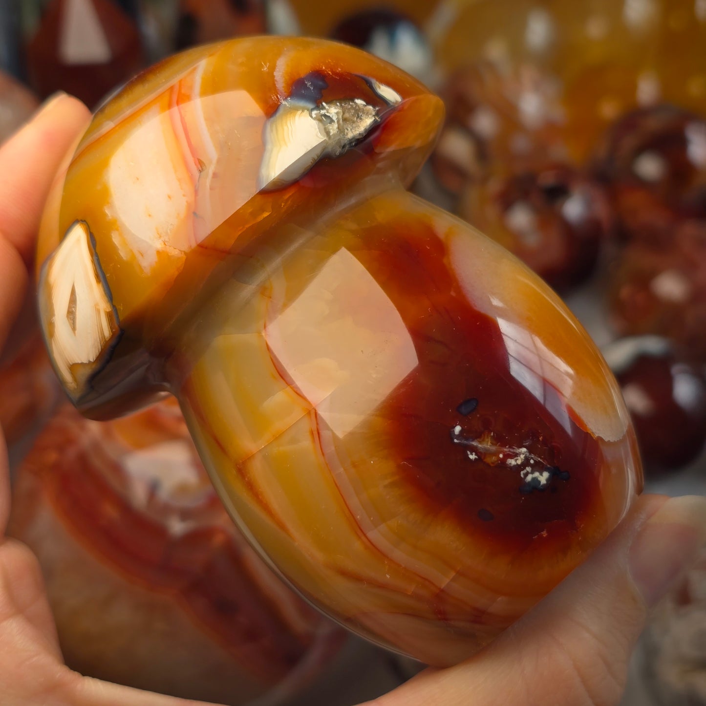 XL Carnelian Mushroom 🍄