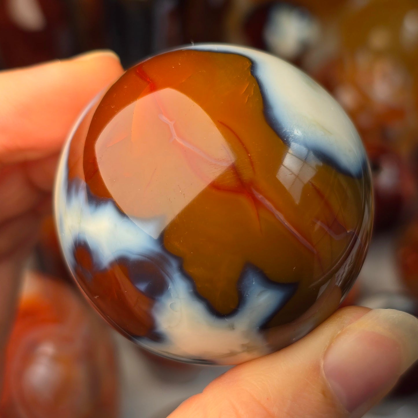 Orca x Carnelian Sphere 🤍