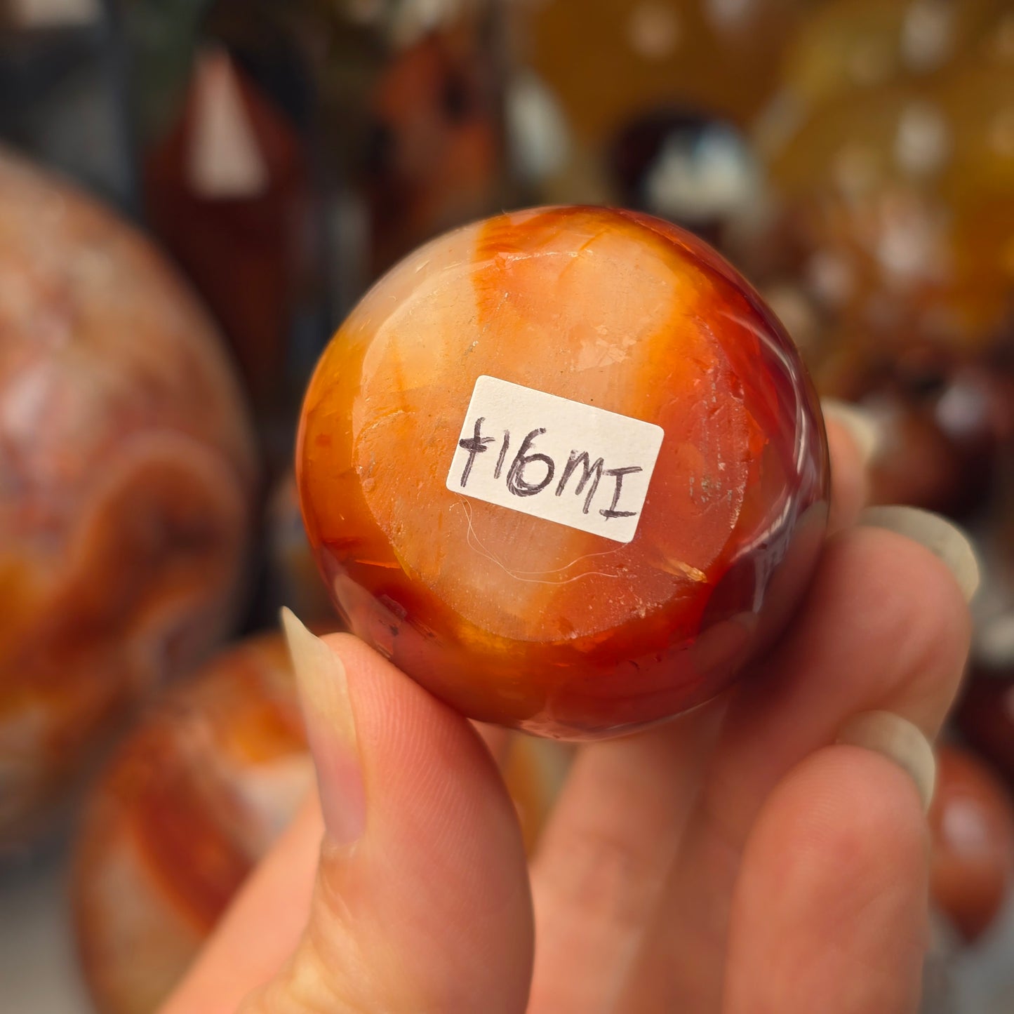 Carnelian Mushroom 🍄