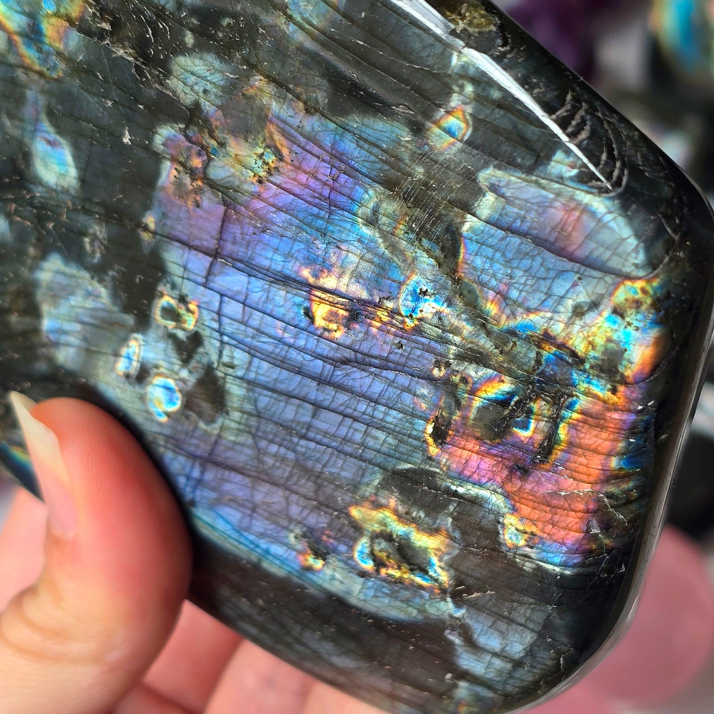 Rainbow Labradorite Freeform 🌈