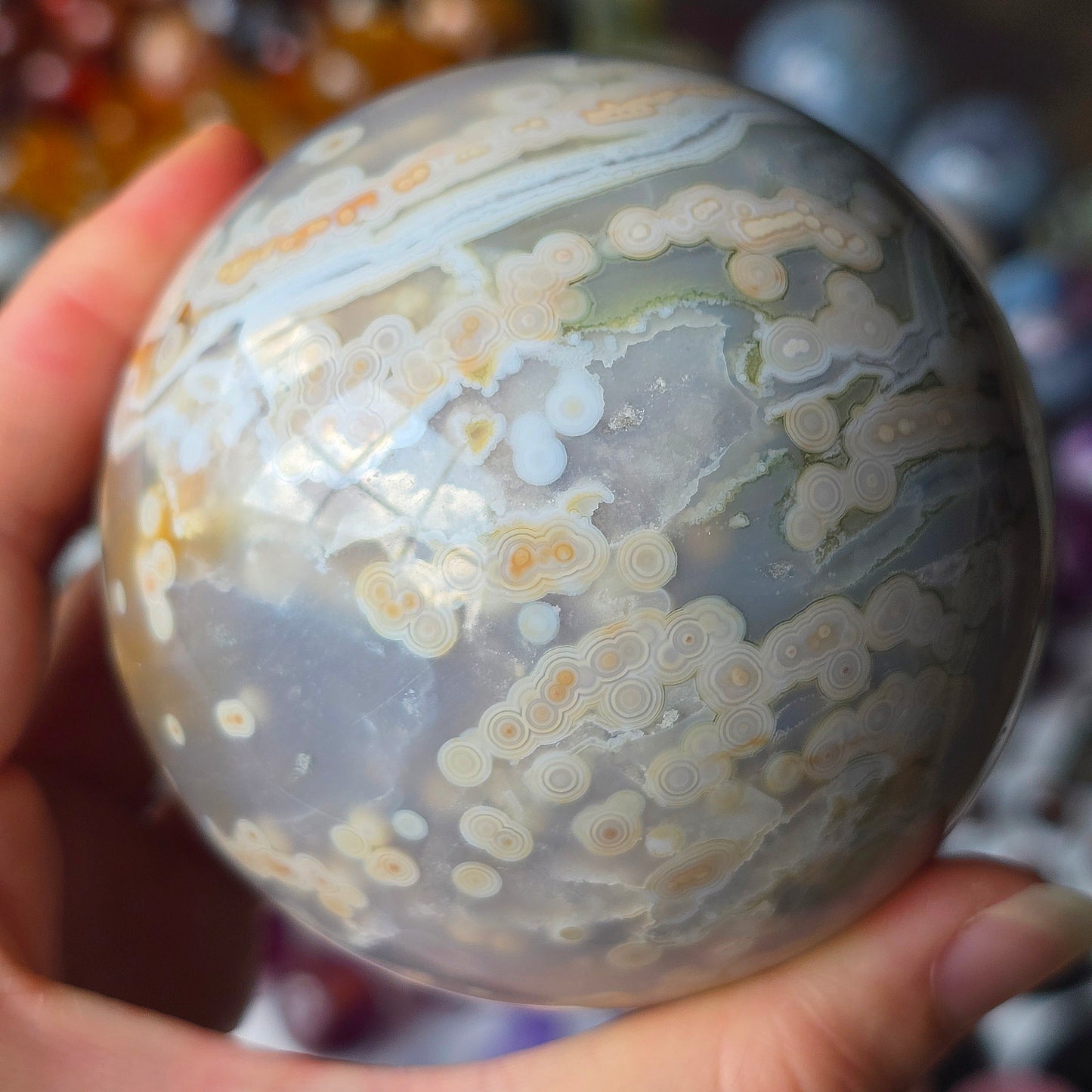 XL Orbicular Jasper Sphere 🩵