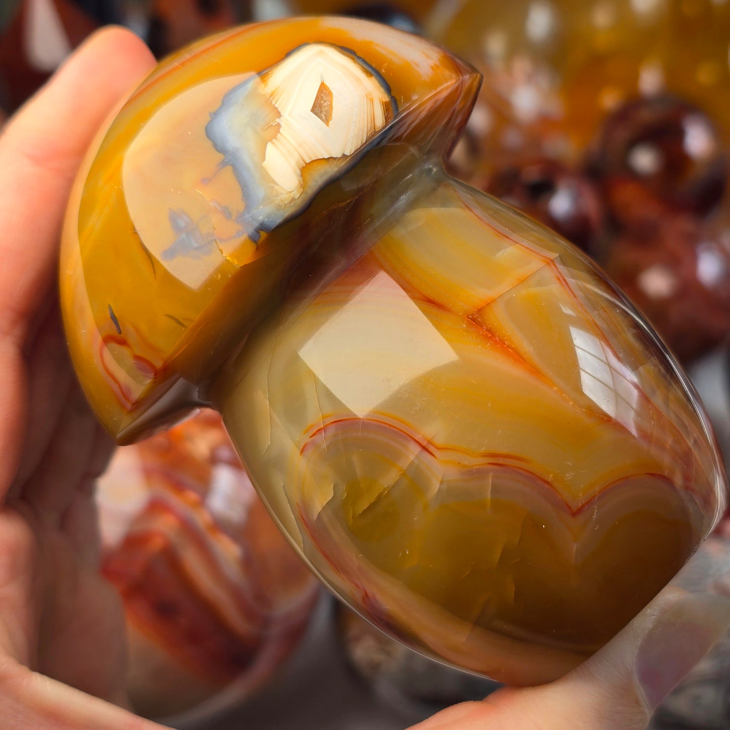 XL Carnelian Mushroom 🍄