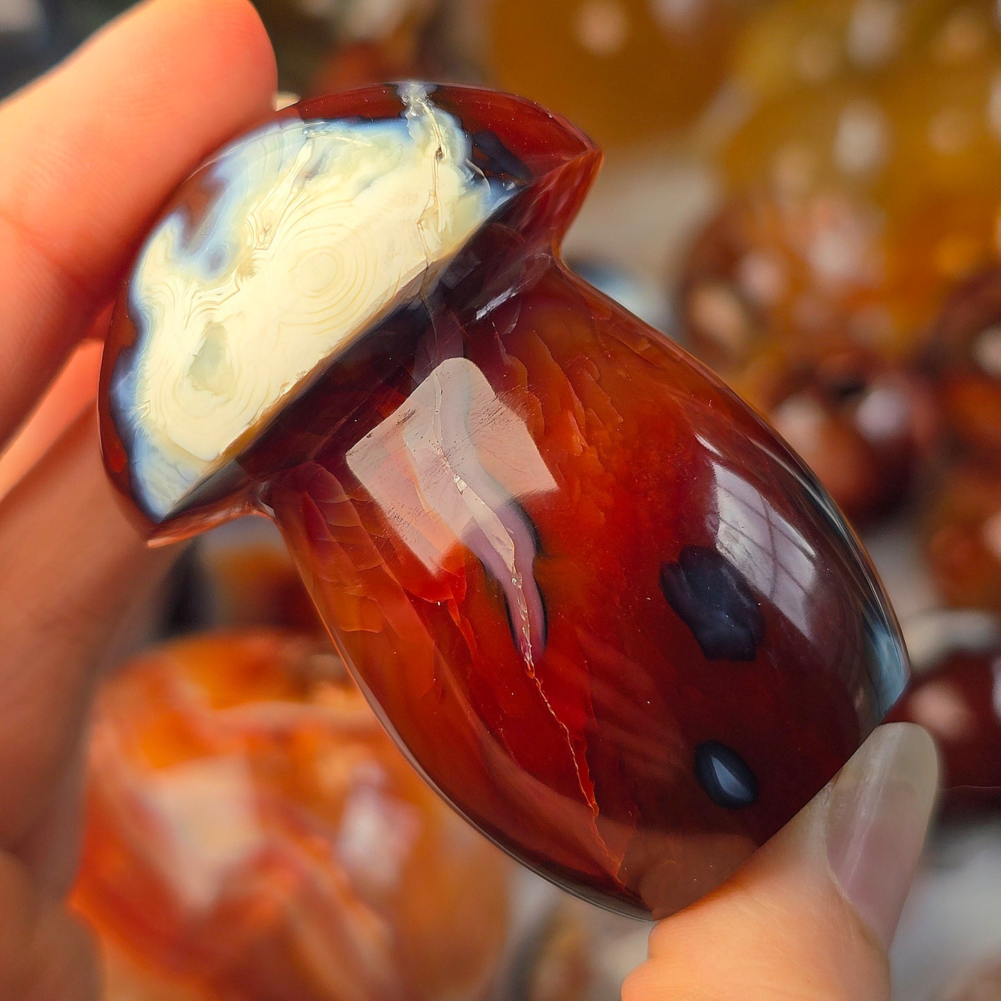 Orca x Carnelian Mushroom 🍄