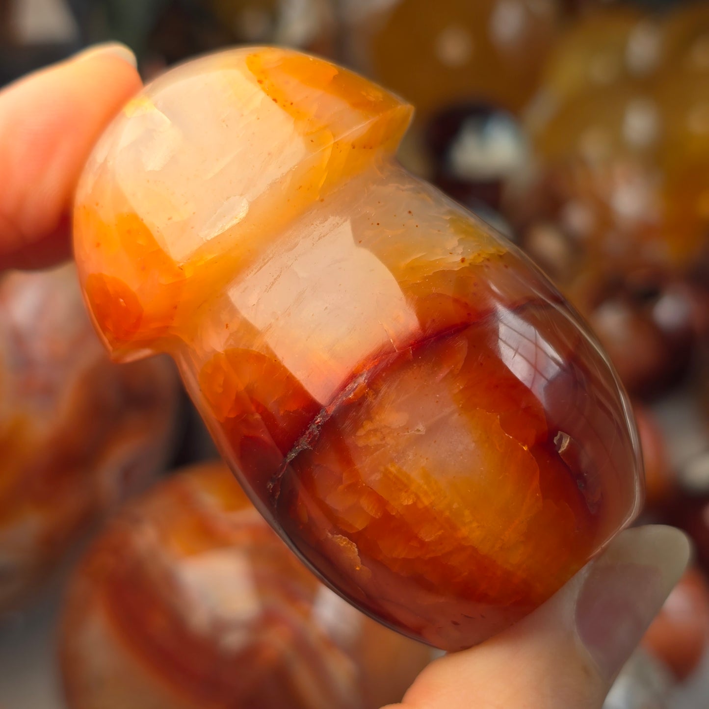 Carnelian Mushroom 🍄