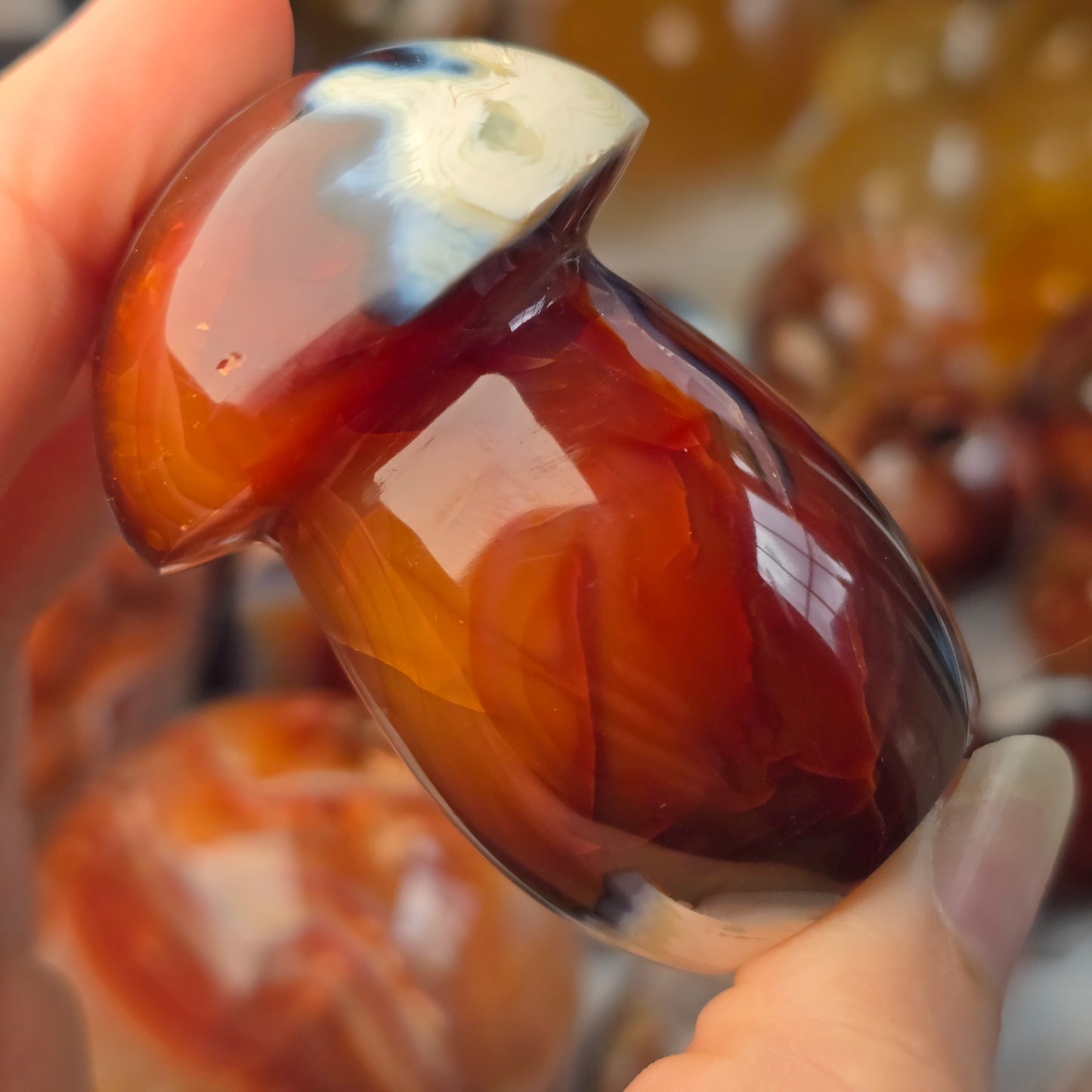 Orca x Carnelian Mushroom 🍄