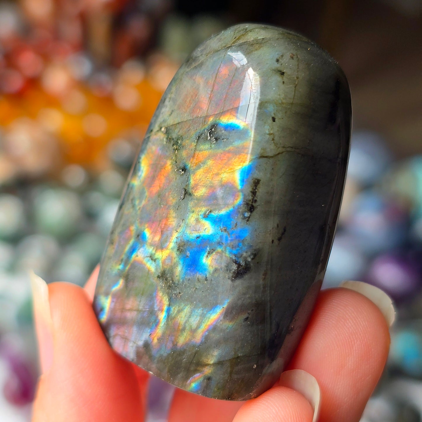 Rainbow Labradorite Freeform 🌈