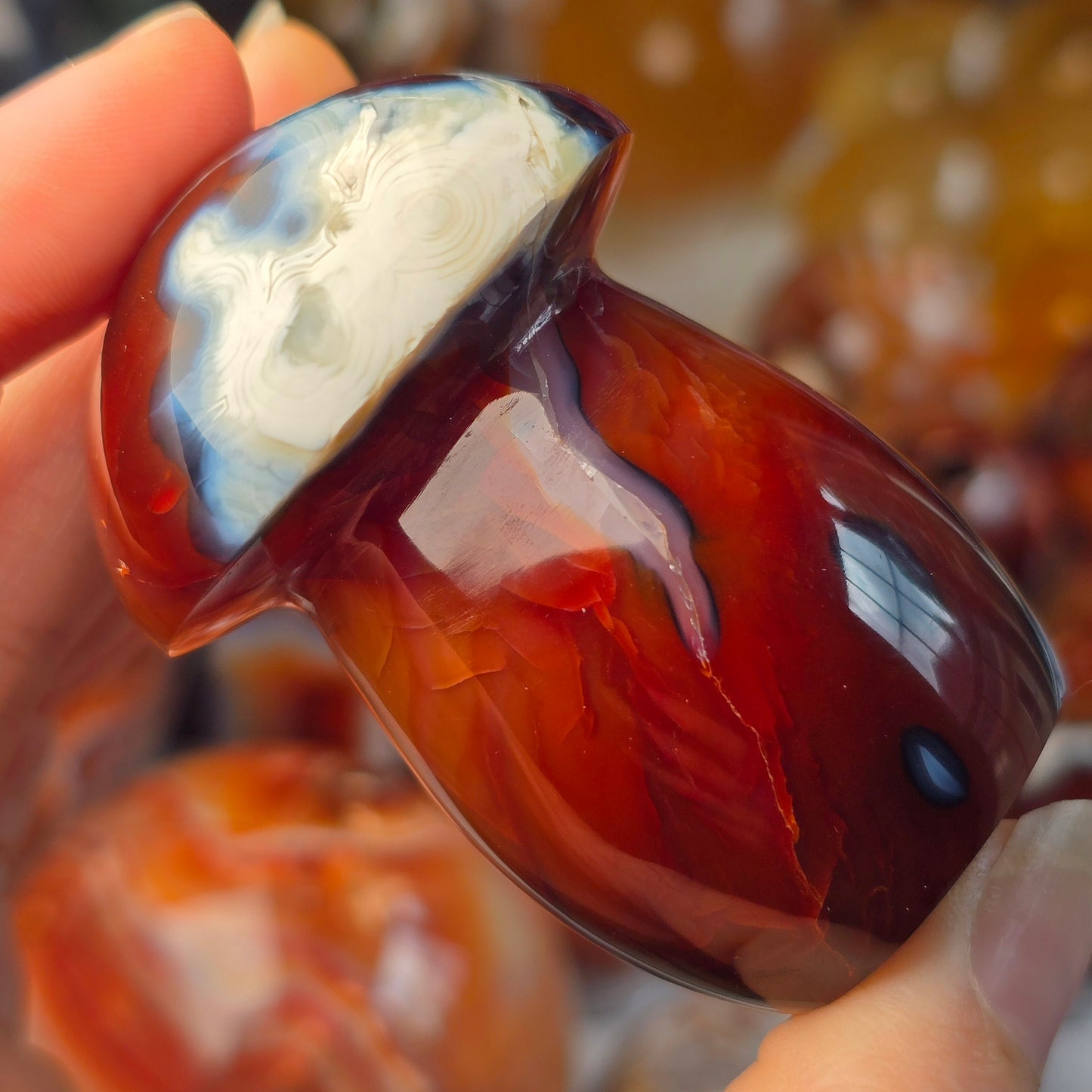 Orca x Carnelian Mushroom 🍄