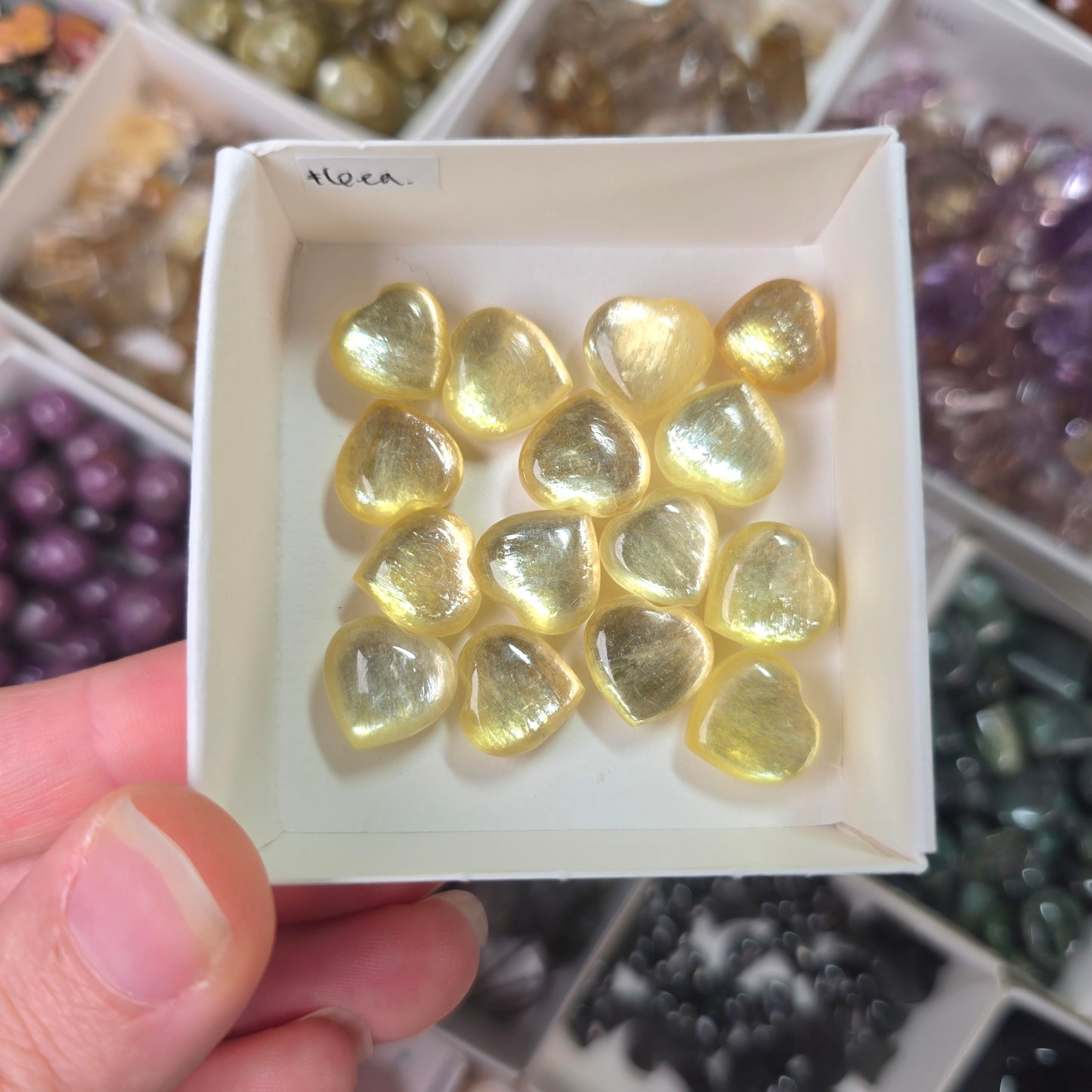 Mini Muscovite Heart