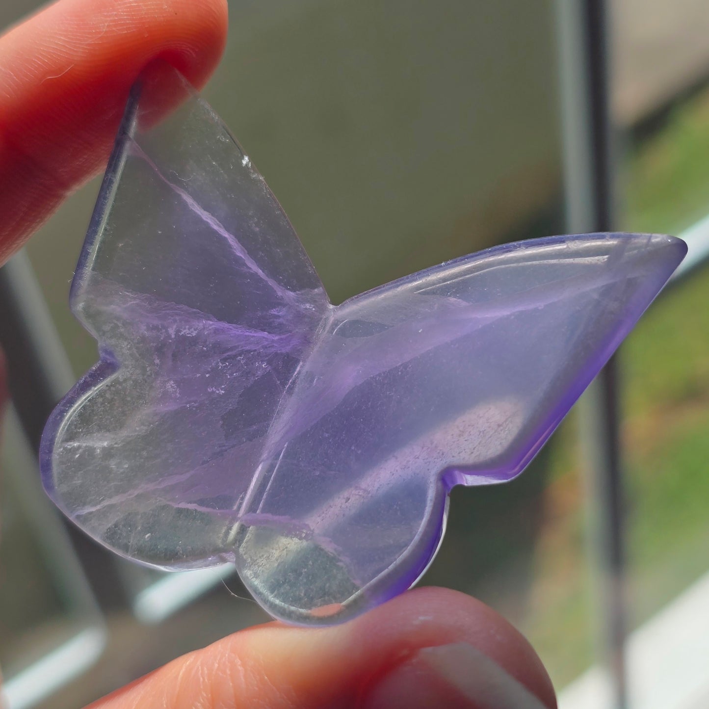 Fluorite Butterfly 🦋