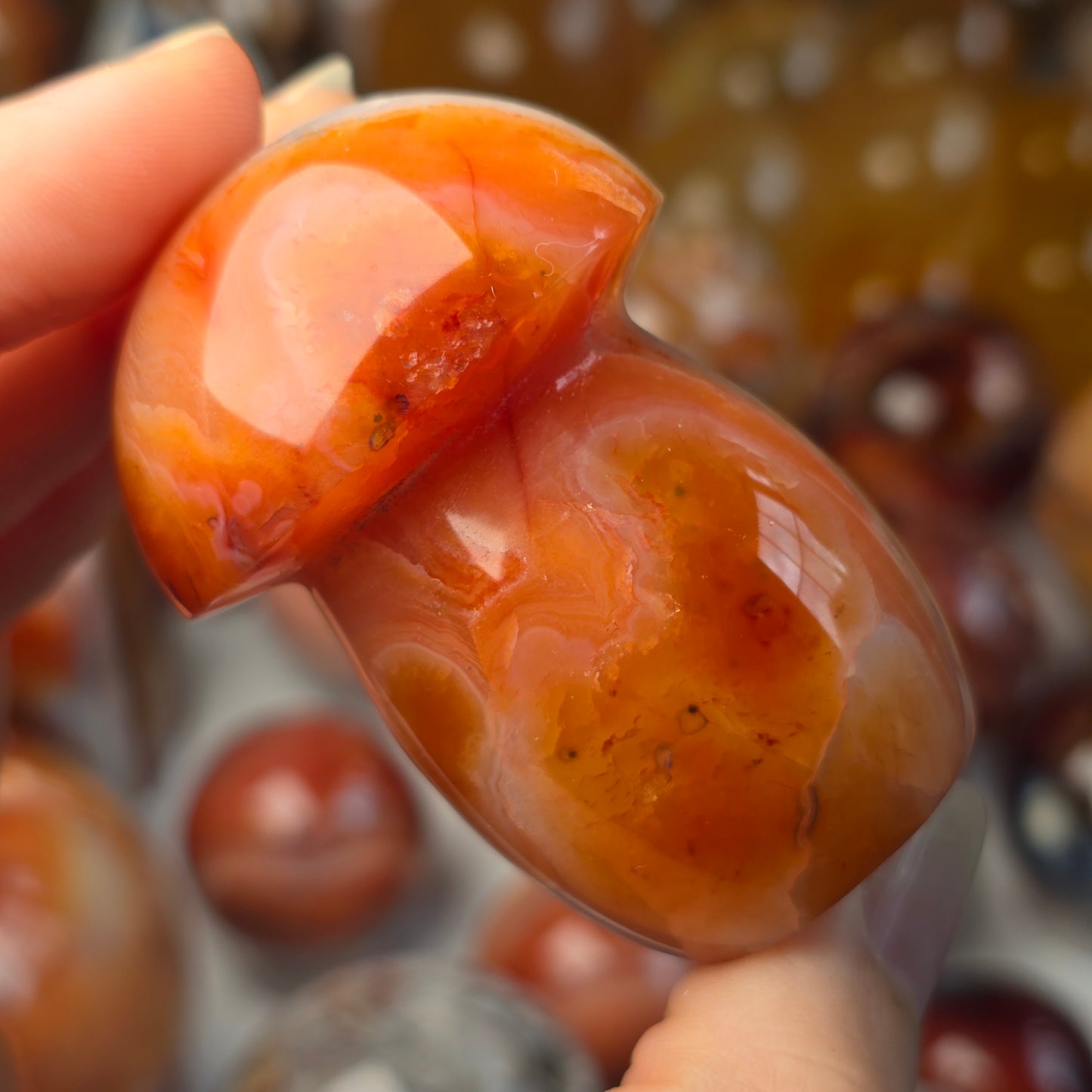 Carnelian Mushroom 🍄