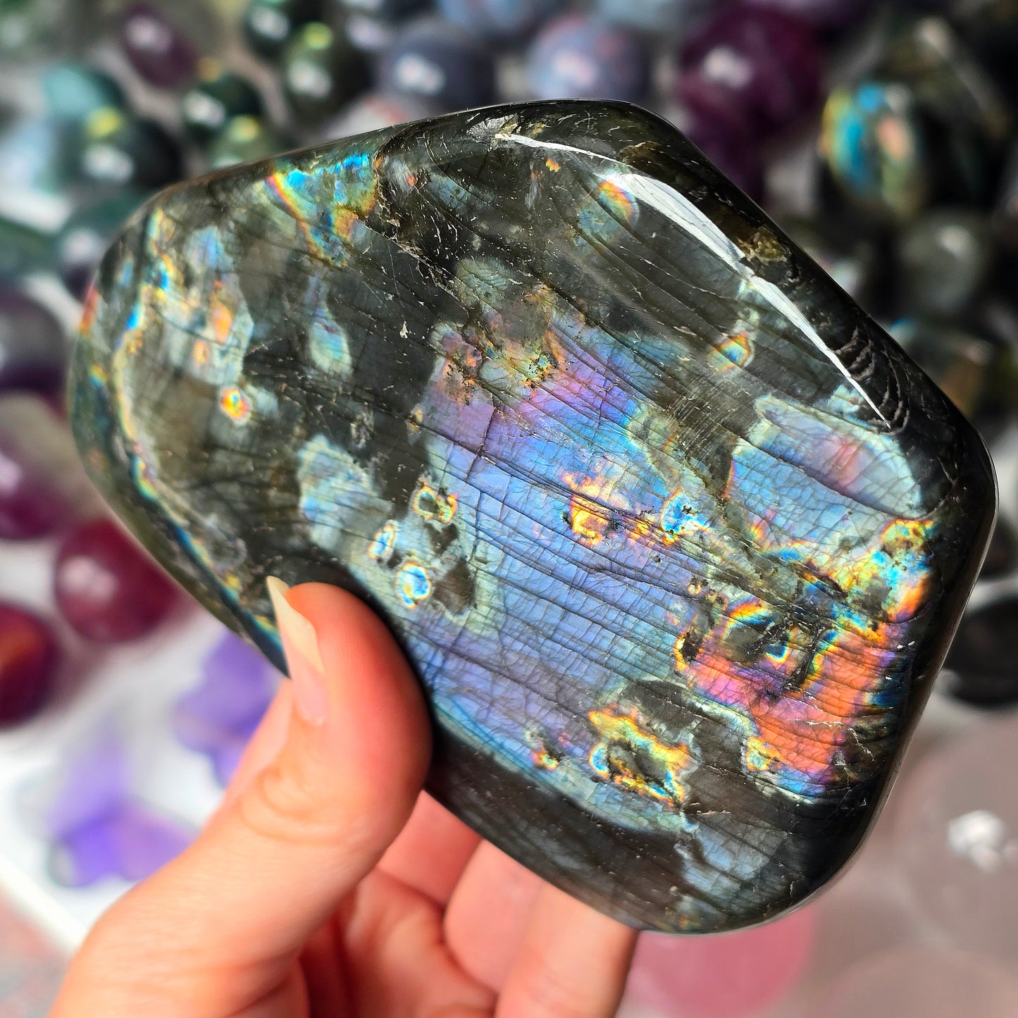 Rainbow Labradorite Freeform 🌈