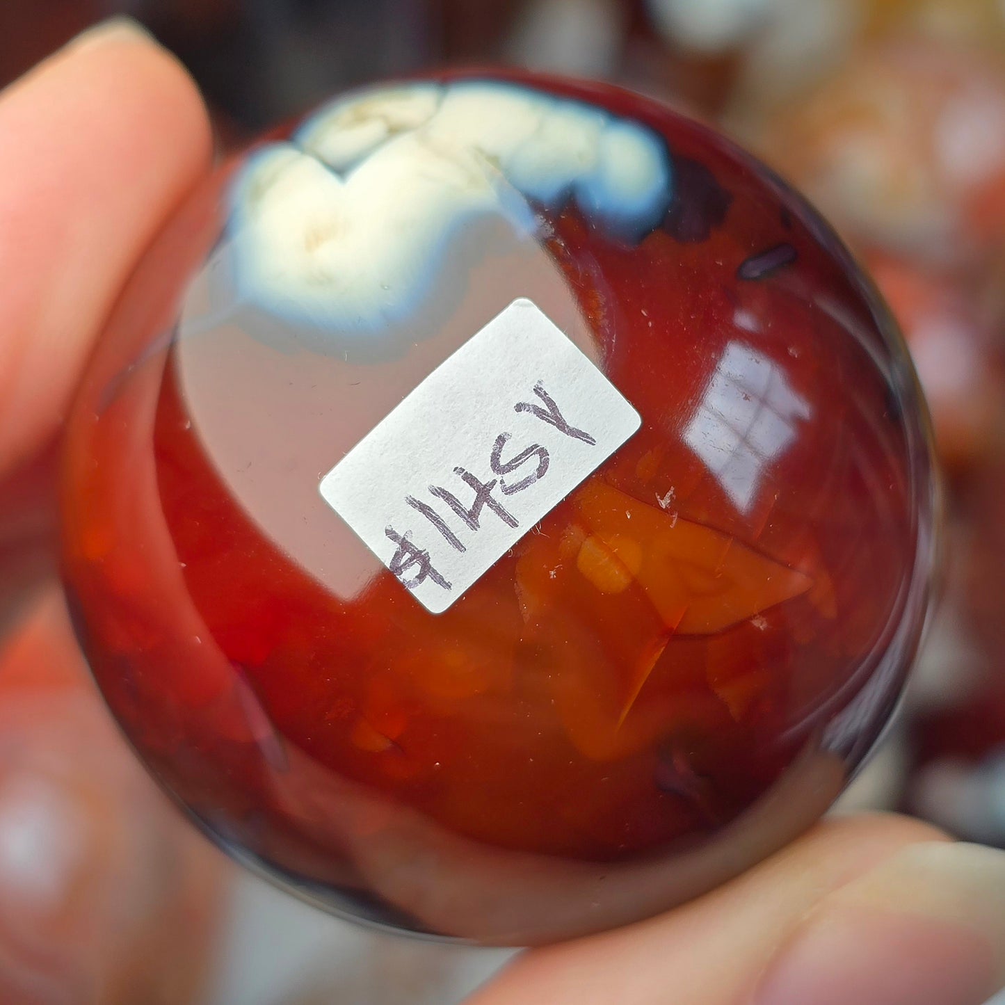 Orca x Carnelian Sphere 🤍