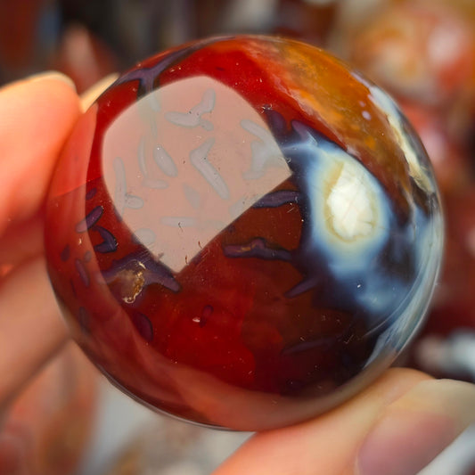 Orca x Carnelian Sphere 🤍