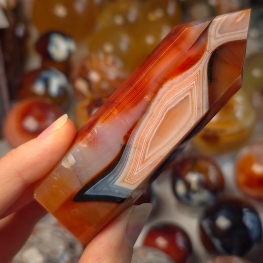 Orca x Carnelian Tower 🖤