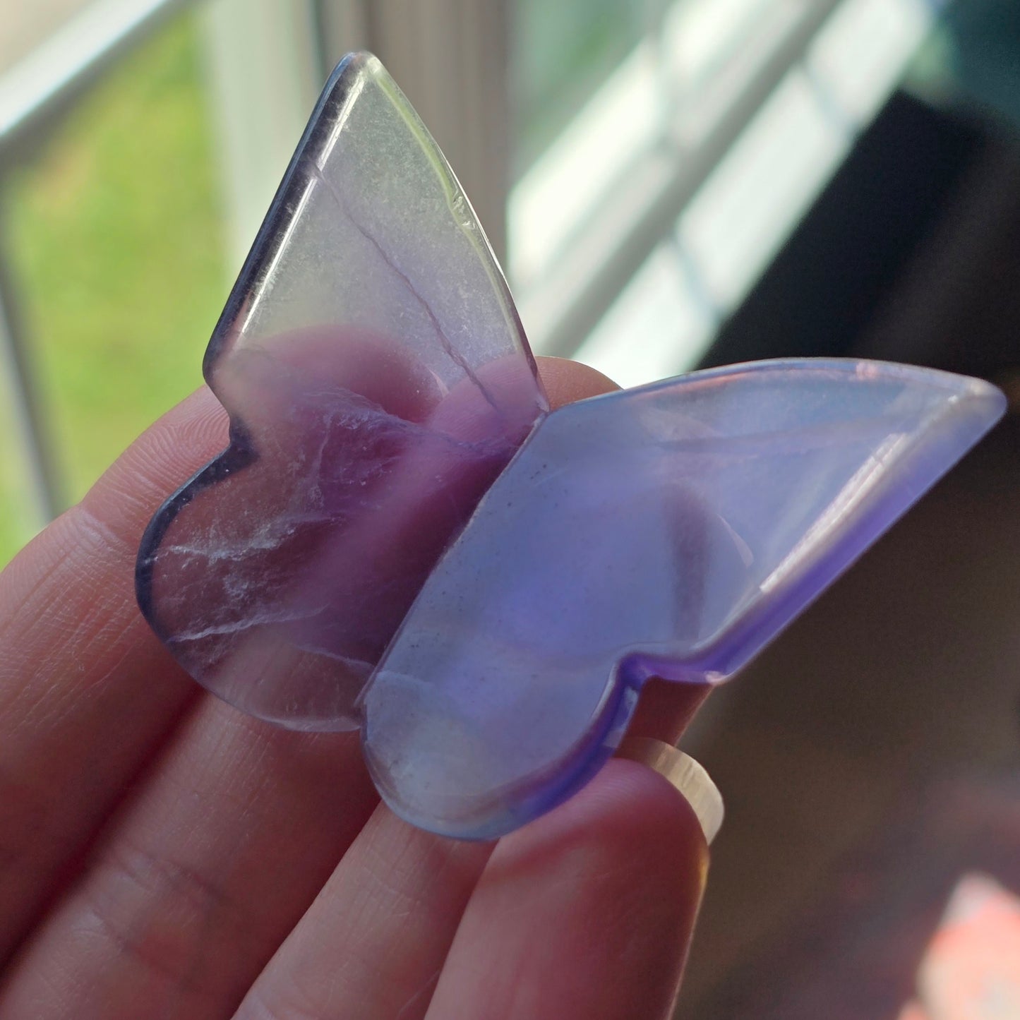 Fluorite Butterfly 🦋