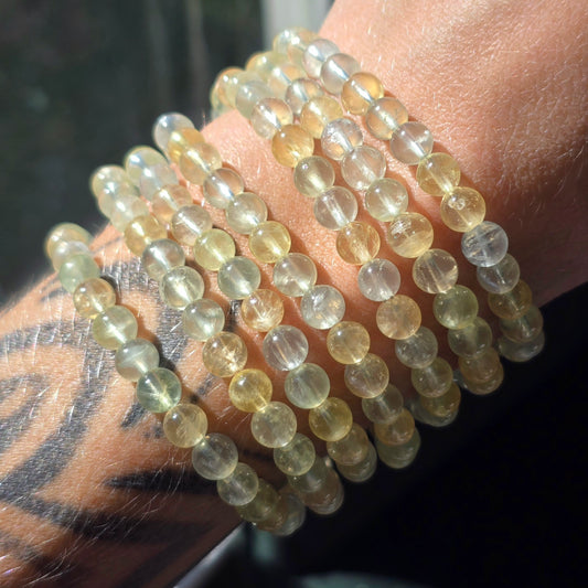 Gemmy Prehnite Bracelet