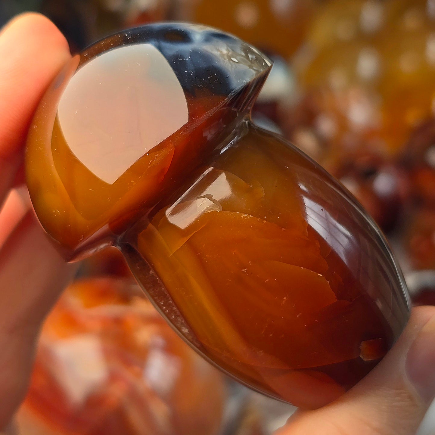 Orca x Carnelian Mushroom 🍄