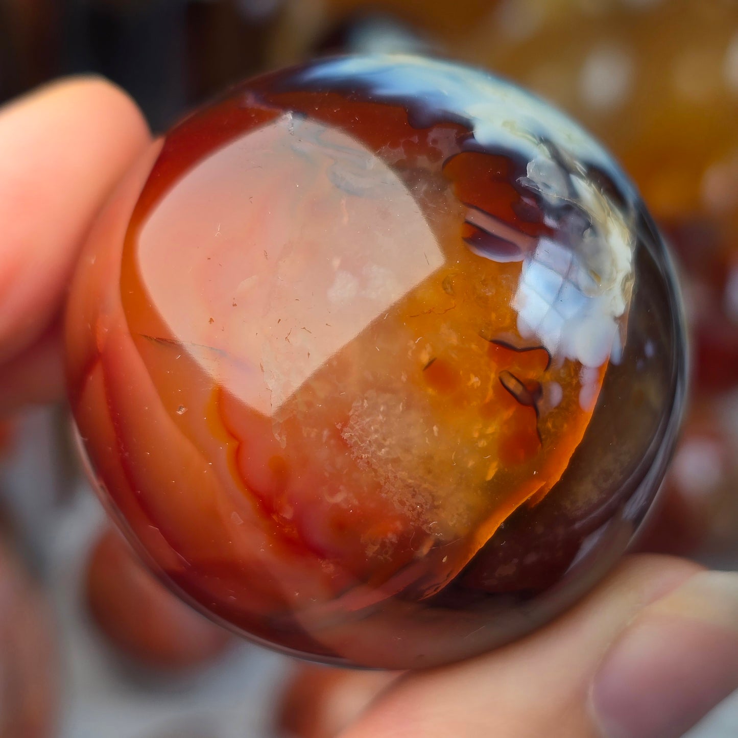 Orca x Carnelian Sphere 🤍