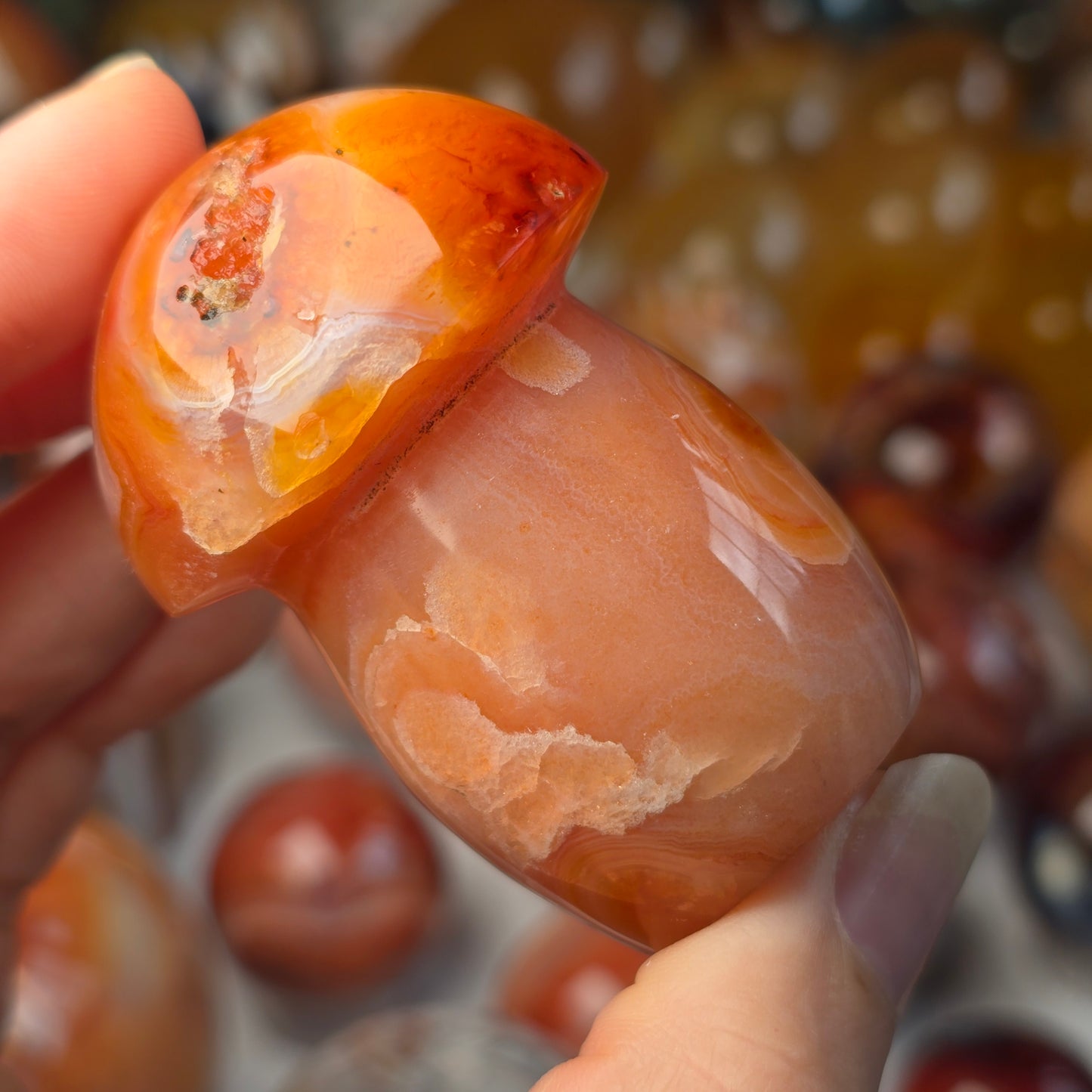 Carnelian Mushroom 🍄