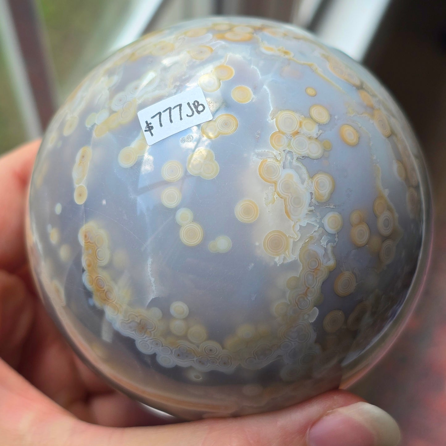 XL Orbicular Jasper Sphere 🩵