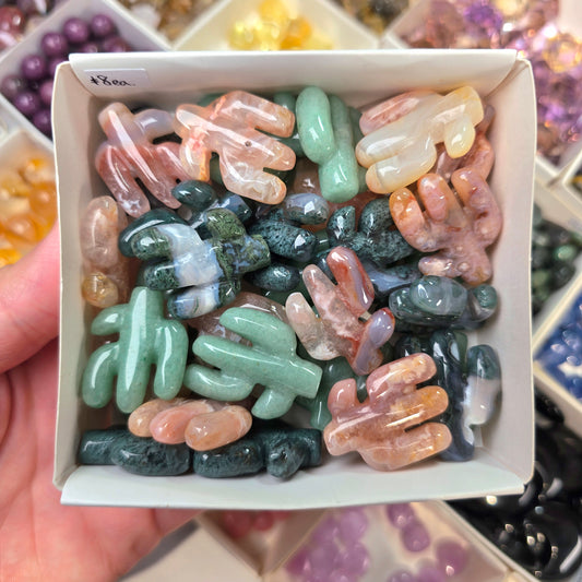 Mini Cactus • Moss Agate • Flower Agate • Green Aventurine
