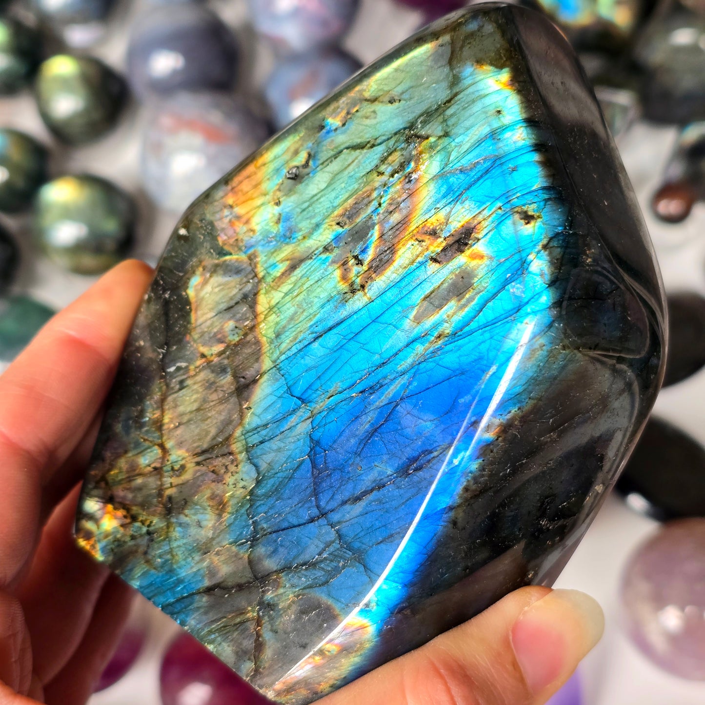 Rainbow Labradorite Freeform 🌈