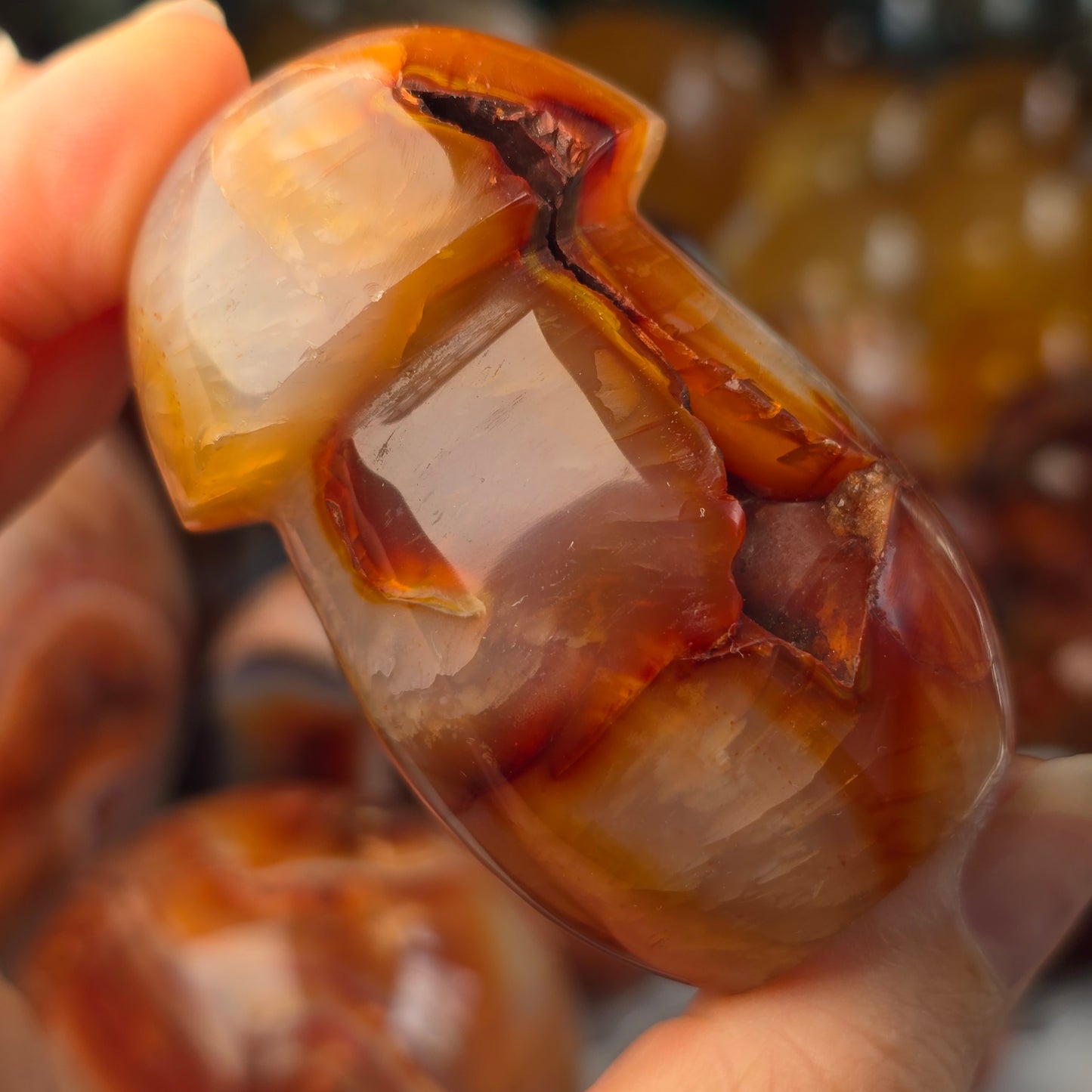 Carnelian Mushroom 🍄