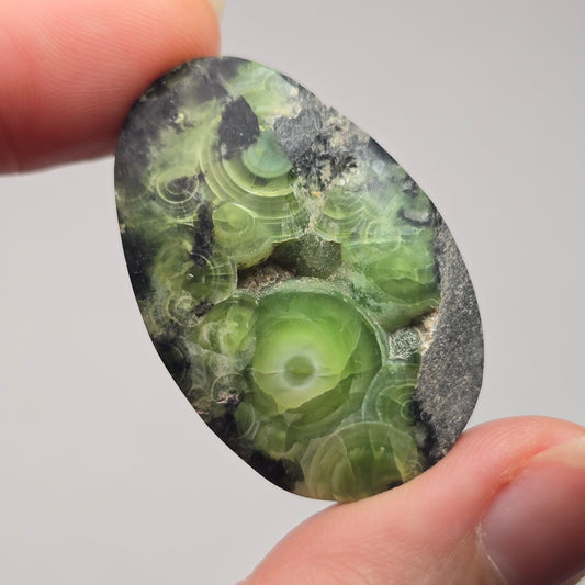 Polished Wavellite