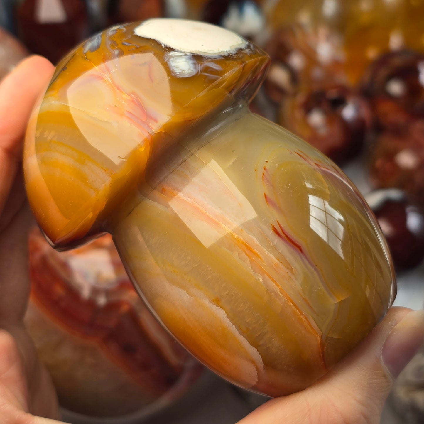 XL Carnelian Mushroom 🍄