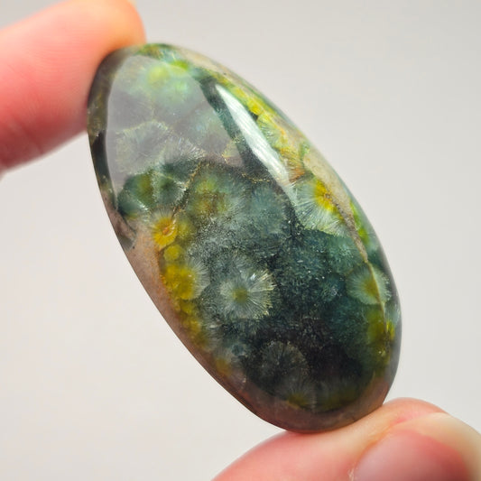 Rare Color Polished Wavellite