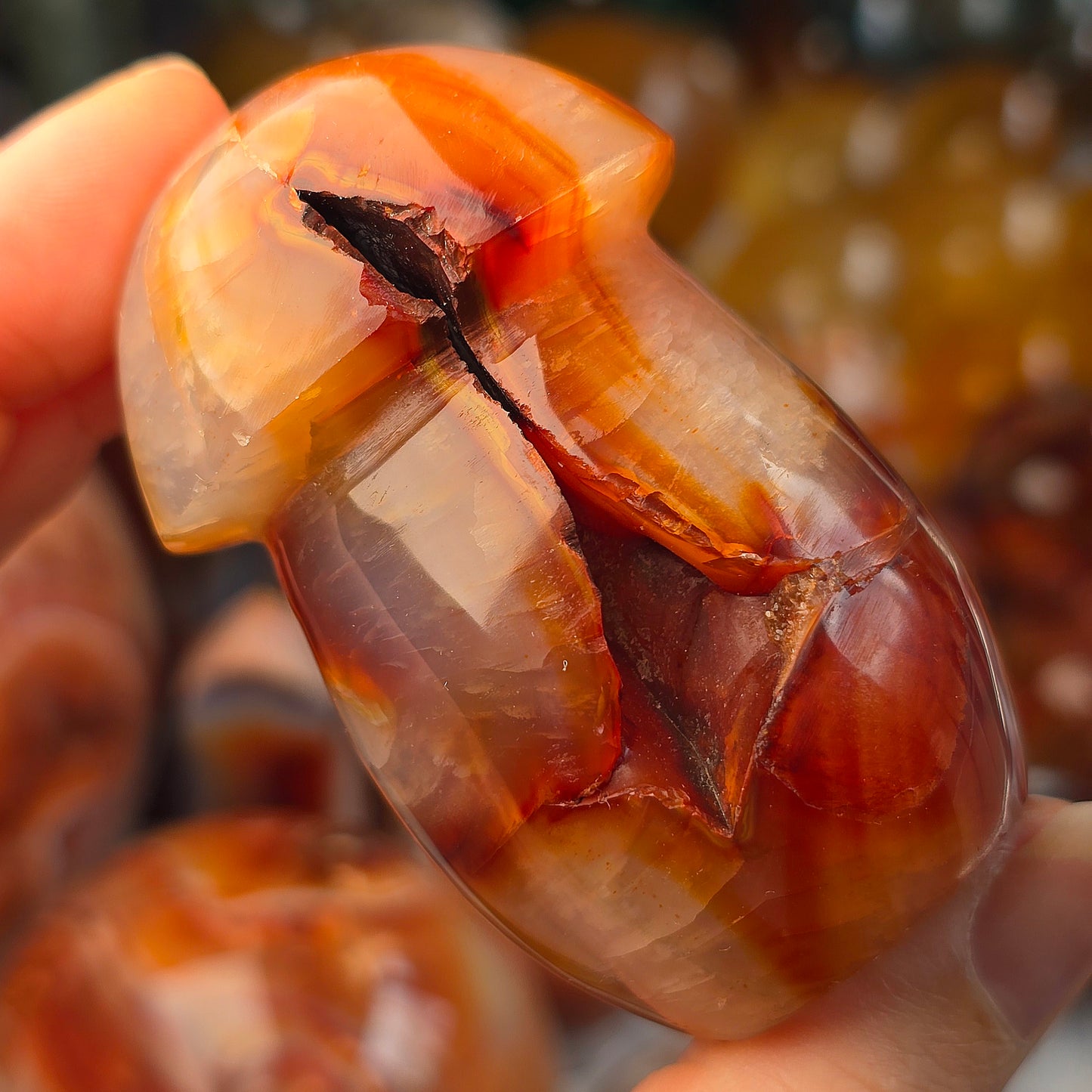 Carnelian Mushroom 🍄