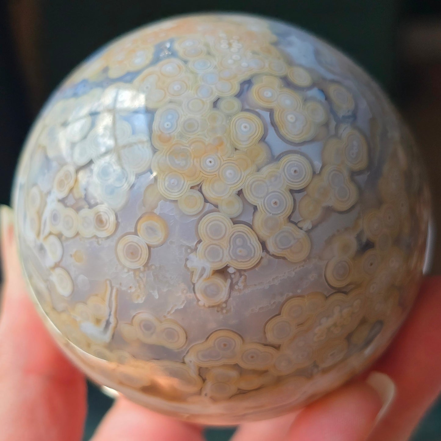 Orbicular Jasper Sphere 🤍