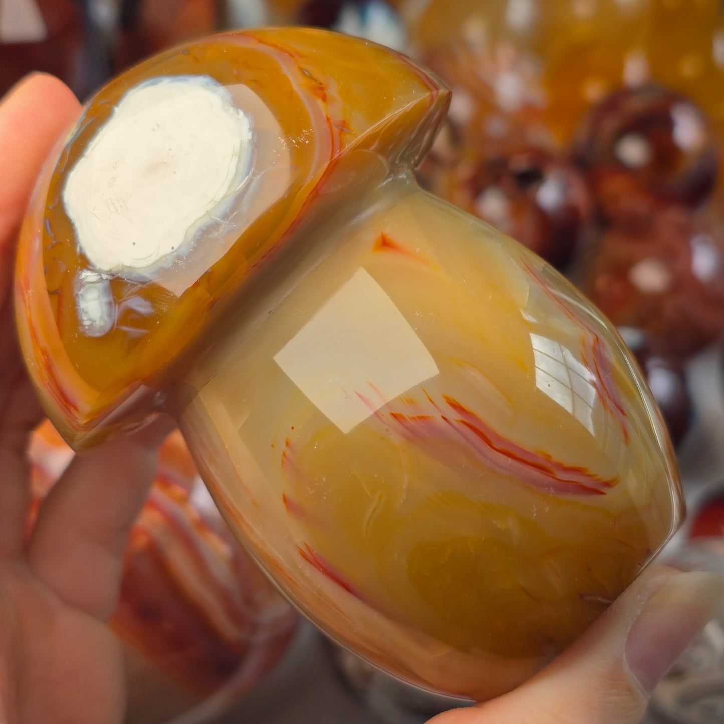 XL Carnelian Mushroom 🍄