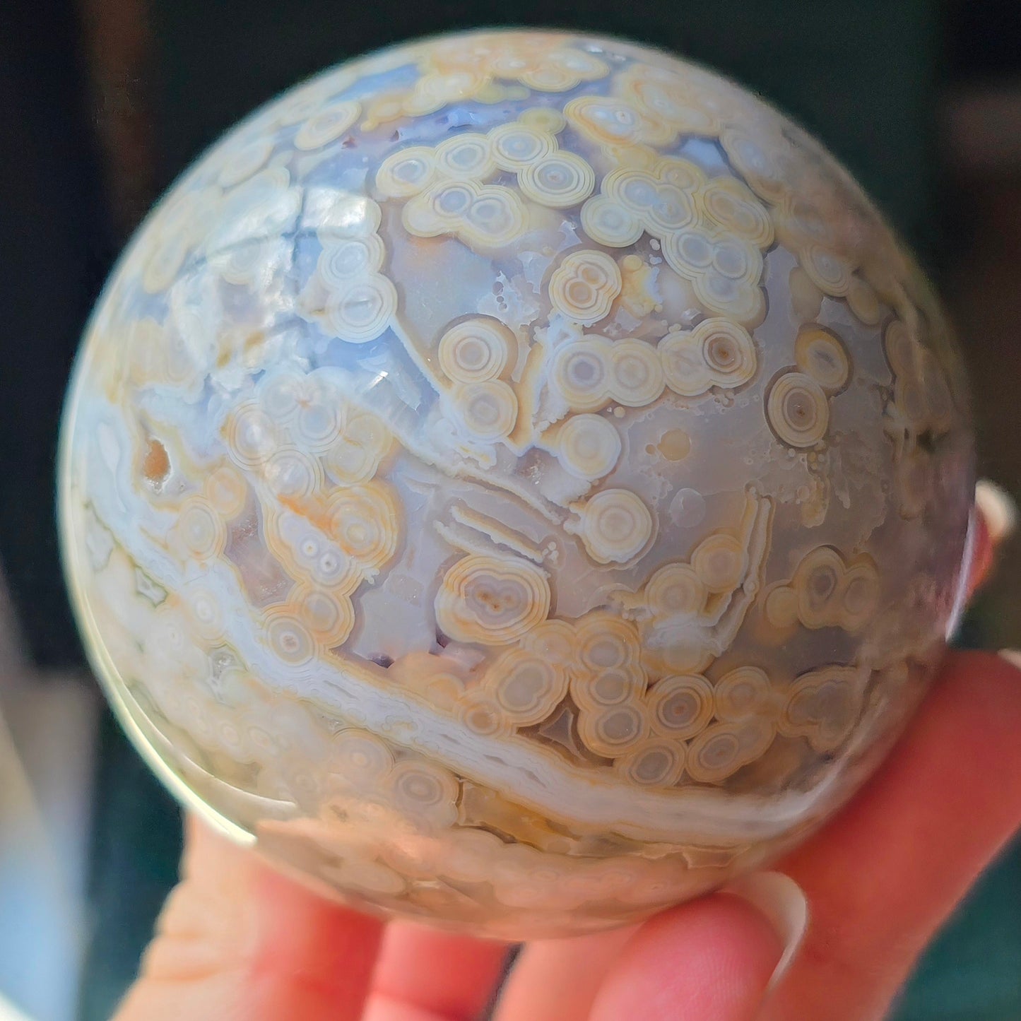 Orbicular Jasper Sphere 🤍
